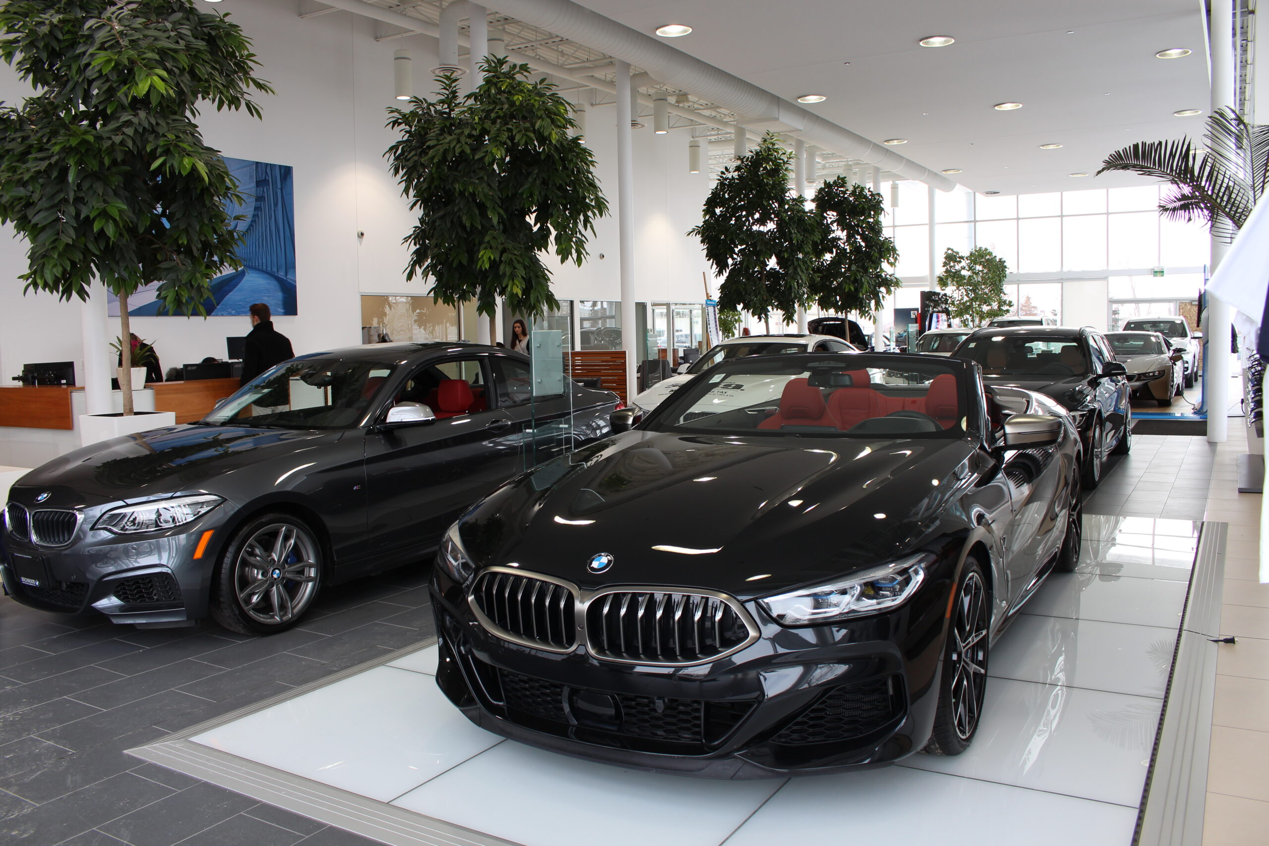 birchwood bmw